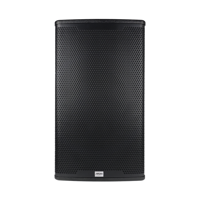 ST100A IP55 Waterproof 10 Inch Full Range Speaker 250W Power with Polyurea Coating for Outdoor Sound System Professional Audio