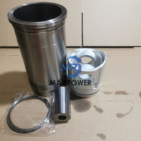 2095720 120L94 0000295360 5001834328 Kit de revêtement de Piston de pièces de réparation de moteur adapté pour les camions de moteur Renault MIDR 620.45 FR1