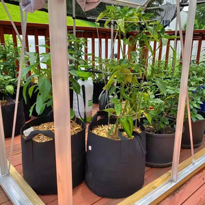 En Stock, 5 galones, 19 <span class=keywords><strong>litros</strong></span>, bolsa de cultivo de fieltro, <span class=keywords><strong>macetas</strong></span> de vivero no tejidas económicas para uva para granja - Product Image 4