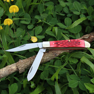 High Quality Red OX <strong>Bone</strong> <strong>Handle</strong> EDC <strong>Knives</strong> Small Folding 420 Double Blade Survival Outdoor Camping Survival Pocket <strong>Knife</strong> - Product Image 2