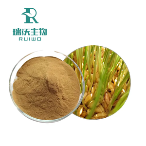 Estratto di malto d'orzo per uso alimentare a base di erbe in polvere estratto con solvente - Product Image 4