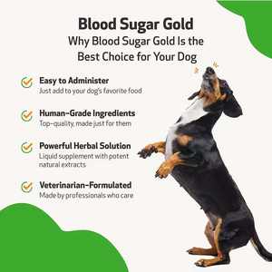 Natural Blend Pet Health Care Ergänzungen Blutzucker Liquid Drops Supplement unterstützt normale Serum insulin spiegel - Product Image 5