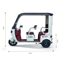 Mini Triciclo Eléctrico con Gran Autonomía, Protección Solar y Contra la Lluvia, para Compras y Multifuncional