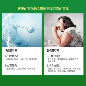 Polvo de Enzimas de Frutas y Verduras para Apoyo Digestivo y Movimiento Intestinal con Sabor a Frutas, 720 Días de Vida Útil - Product Image 5