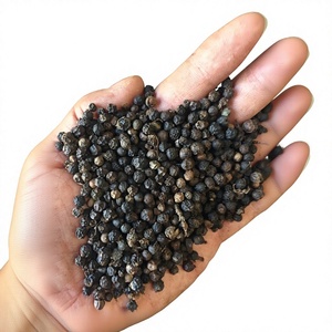 Pimienta Negra Picante, Chile Seco, Especias, Fábrica de Vietnam MEKONG AGRICULTURAL FOOD, Procesamiento en Crudo, 25 kg, Mejor Precio, Exportación a Granel - Product Image 1