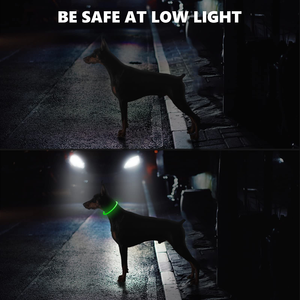 <b>Dog</b> Accessories Waterproof Pet Flashing Light up <b>Dog</b> Collar USB Rechargeable Night Safety Luminous Glowing Led <b>Dog</b> Collar - Product Image 4