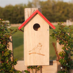 Umweltfreundliches Modernes Multifunktionales Dekoratives Vogelhaus aus Holz für Draußen mit Aufhängehaken für Alle Jahreszeiten - Product Image 3