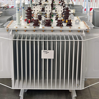 Transformador de Voltaje Trifásico ONAN de Aceite S11 50kVA 100kVA 200kVA 160kVA 500kVA 750kVA 1000kVA 10MVA 4MVA 11kV 15kV 22kV