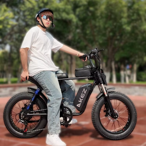 Entrepôt de Californie Vélo électrique à pneus gras de 20 pouces 750W Vélo électrique à suspension double Batterie amovible Moto avec sac pour téléphone - Product Image 6