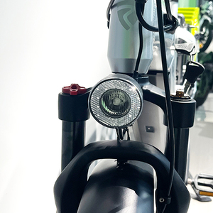 Vélo électrique <span class=keywords><strong>cargo</strong></span> pour adultes, moteur sans balais 750W, batterie au lithium, cadre en alliage d'aluminium, autonomie de 80 km, pour hommes et femmes, voyages en plein air - Product Image 2