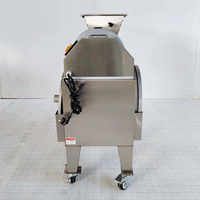 Multifunctionele Commerciële Fruitchips Snijmachine Kubus Groente Snij-En Snijmachine