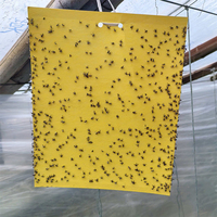 Pièges à mouches des fruits personnalisés, écologiques, en plastique, avec des plaques adhésives résistantes pour capturer les ravageurs