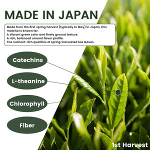 Matcha Orgánico Japonés de Grado Ceremonial, Té Verde Puro en Polvo Premium, Empaquetado en Caja a Granel para la Ceremonia Tradicional del Té, Adelgazante - Product Image 4