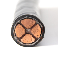 Harga Kabel Daya Berpelindung Multicore 95mm 120mm 240mm 300mm 0.6/1kV CU/XLPE/PVC