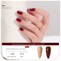 Ensemble de vernis à ongles haut de gamme, couleurs blanchissantes populaires pour les salons de manucure, collection classique printemps-été, numéro de modèle haut de gamme