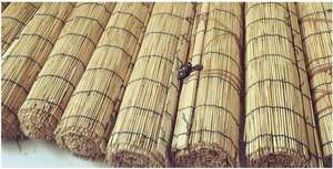 Nouveau design très vendu rideau de roseau fait à la main <span class=keywords><strong>en</strong></span> roseau clôture <span class=keywords><strong>en</strong></span> roseau pour chambre ou extérieur - Product Image 3