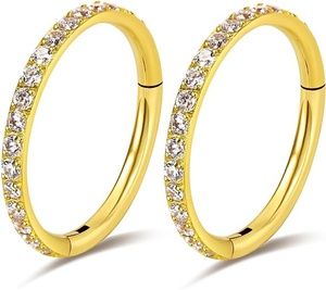 ASTM <span class=keywords><strong>F</strong></span>-136 G23 titan zirconia Studded bản lề phân khúc daith Clicker nhẫn với CNC Set CZ paved mũi Bông tai - Product Image 4