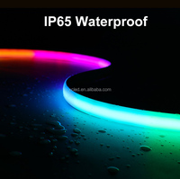 Conectividad USB Smart RGB + CCT Tira de luz de neón de alta densidad 1428LED/M WS2811 WS2812B Proveedor DC 24V Decoración de habitación Proveedores de luz LED