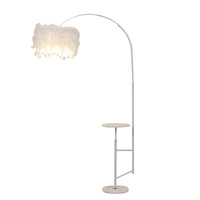 Lampadaire en plumes de style moderne, adapté aux salons, chambres à coucher, canapés, tables basses et tables de pêche.