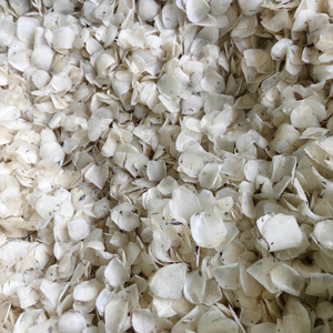 Venta caliente escamas de pescado seco mejor precio escamas de pescado seco para la producción de colágeno de los principales proveedores de Vietnam - Product Image 1