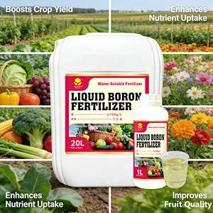 <span class=keywords><strong>ปุ๋ย</strong></span>เหลวโบรอนออร์แกนิกสำหรับพืชเกษตร ป้องกันดอกหลุด ช่วยเพิ่มผลผลิต ขนาด 1 ลิตร/20 ลิตร/1000 ลิตร ลดราคาจากโรงงาน - Product Image 2