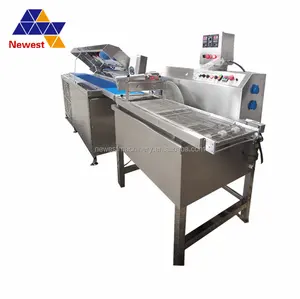 Automatische Mini chocolade coating machine/chocolade die machine/kleine chocolade enrobing lijn met Cooling Tunnel