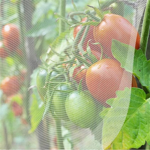 Rete Anti-Insetti Trasparente in Plastica per Serra Huike, Larghezza 3 Metri, Rete Agricola Anti-Insetti - Product Image 3