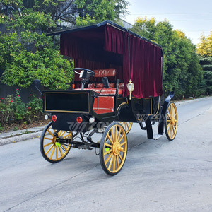 Carruaje Eléctrico Multiusos para Turismo, Bodas, Zonas Turísticas, Recorridos Urbanos, Alquiler para Negocios - Product Image 1