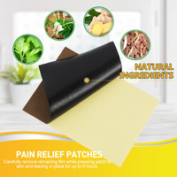 Nouveau Patch Chinois à Base de Plantes pour Soulager la Douleur, Patch de Récupération Musculaire aux Cinq Venins, Patch de Massage Articulaire pour Soulager les Douleurs de l'Épaule, du Dos et Lombaires