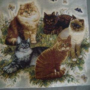 Pas cher Gel Chirurgie Escarres <span class=keywords><strong>Coussin</strong></span> - Product Image 1