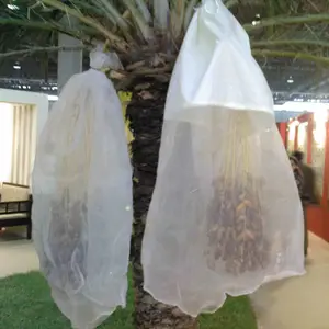 Tunisia best selling Protect date palm bags