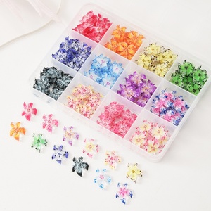 Fleurs en résine 3D à fond plat couleur gelée pour nail art, diamants, vente en gros, décoration d'ongles, fournisseur professionnel DIY - Product Image 2