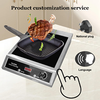 Cuisinière à induction parlante en braille. Bouton - Style, adapté aux malvoyants, haute puissance et plus sûr.