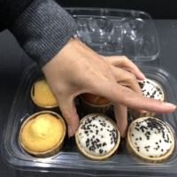 Boîte d'emballage en plastique jetable, personnalisable, écologique et inviolable pour gâteaux, bonbons, sushis, nouilles, jus et gelées