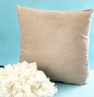 Fibre discontinue de remplissage en polyester creux recyclé en gros de matières premières standard à bas prix