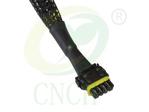 558-465 CAN总线Y-分离器线束，用于Holley EFI狙击终结器X支配器 - Product Image 5