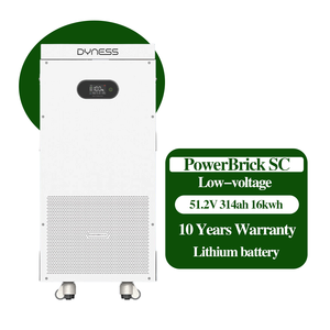 Batería de Litio para el Hogar IP20 LifeFo4 de 16 kWh, 51.2 V, 10 kWh, 15 kWh, Inversor Híbrido <span class=keywords><strong>Dyness</strong></span>, <span class=keywords><strong>BMS</strong></span> Inteligente - Product Image 2