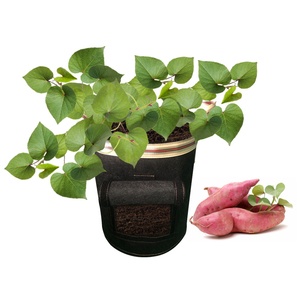 <span class=keywords><strong>Maceta</strong></span> con mango personalizada, bolsa de jardín de fieltro de 3/5/7 galones, bolsas de cultivo de tela no <span class=keywords><strong>tejida</strong></span>, color negro, venta al por mayor - Product Image 6