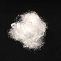 Fibre vierge PA6 100% 8Dx65mm Blanc brillant Matière première Écologique Ignifuge Filature Marque Sinopec Chine