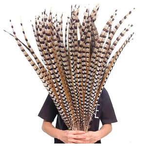 Pluma <span class=keywords><strong>de</strong></span> Cola <span class=keywords><strong>de</strong></span> Faisán Reeves Natural <span class=keywords><strong>de</strong></span> Alta Calidad para Decoración <span class=keywords><strong>de</strong></span> Carnaval 2024 - Product Image 1