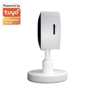 Mini caméra Wifi intelligente Tuya App 3mp avec vision nocturne et détection de mouvement
