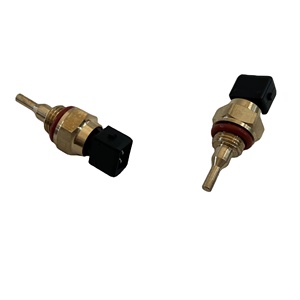 Capteur de température en métal Manny 100013684 - Product Image 4