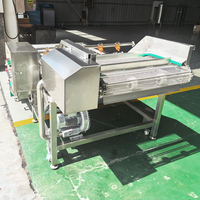 YOUBAN Commerciële Bubbelwasmachine Industriële Groente- en Fruitreinigingsmachine Met Ozon Desinfectiefunctie