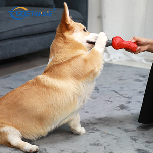 Giocattolo da masticare in gomma naturale Non tossico giocattolo da masticare per cani dal Design di scheletro Ultra resistente - Product Image 6