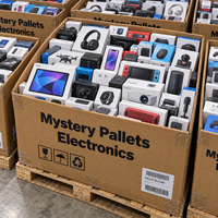 Palet Elektronik Misterius, Lot Pengembalian Barang dengan Smartphone, Tablet, Laptop, Sistem Game, Earbud TWS, Grosir, MOQ Rendah untuk Eceran dan Resale
