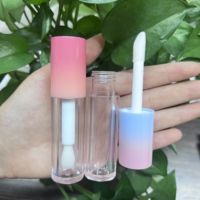 Nouveaux Tubes de Brillant à Lèvres en Plastique Dégradé Populaires 2025, 4ml et 6ml, Grande Capacité Rose avec Grande Brosse et Sérigraphie