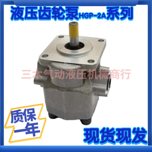 Bomba de Engranajes HGP 2A F2R F3R F4R F6R F8R F9R F12R 4B GPY 11.5R de Hierro Fundido Horizontal de Una Etapa con Accionamiento Eléctrico - Product Image 5