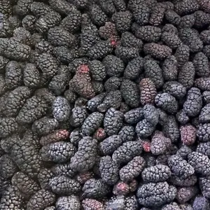 Dâu đông lạnh iqf mulberries