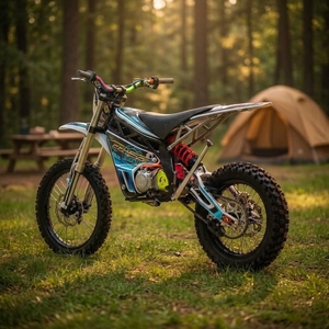 Yozma in 10 Moto Elettrica da Fuoristrada 9000W 80V37Ah Ricarica Rapida Lega di Ferro/Alluminio Impermeabile IP65 Oltre <span class=keywords><strong>70</strong></span> km/h °   Climbing Ultra Bee - Product Image 1