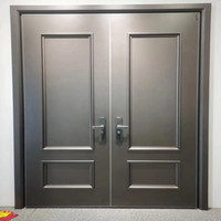 Porte d'entrée double sur mesure avec cadre en acier robuste, traitement de surface anti-corrosion, fournisseur